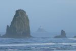 PICTURES/Oregon Coast Road - Cannon Beach/t_P1210861.JPG